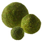 Moss Sphere