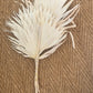 White washed palms