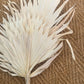 White washed palms