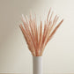 Slim pink, pompous grass. 6 steams